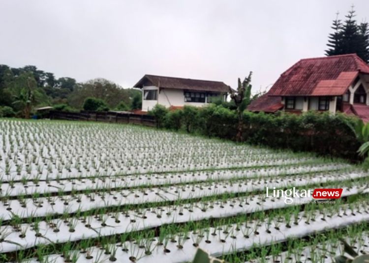 Depok Siapkan Lahan Untuk Kembangkan Pusat Pertanian Perkotaan