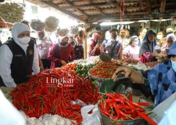 Jelang-Idul-Adha,-Pemprov-Jatim-Berupaya-Stabilkan-Harga-Cabai