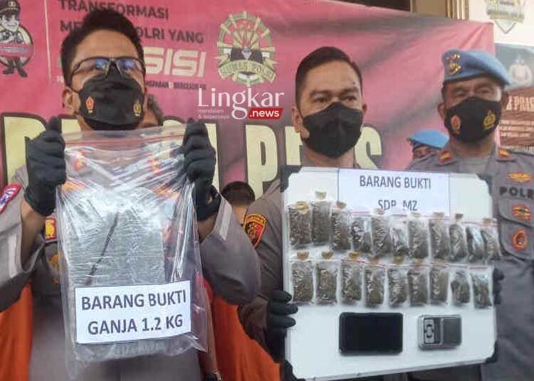 Edarkan Ganja, Karyawan Koperasi di Cirebon Terancam Penjara Seumur Hidup