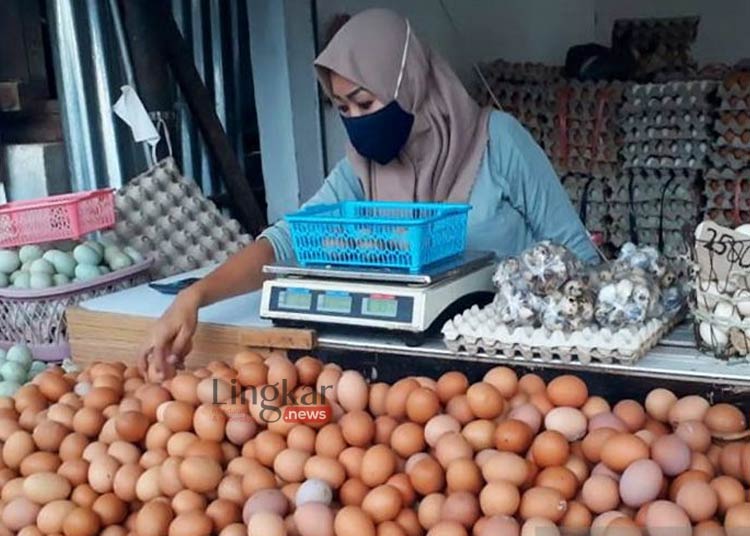 Harga Telur Ayam Meroket, Mendag Zulhas Sebut Dipengaruhi Bansos