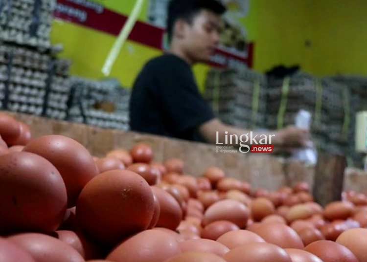 ILUSTRASI: Pedagang menjual telur ayam. (Istimewa/Lingkar.news)