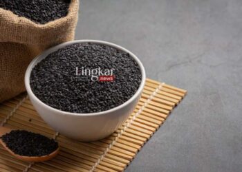 POTRET: Habbatussauda (Freepik @jcomp/Lingkar.news)