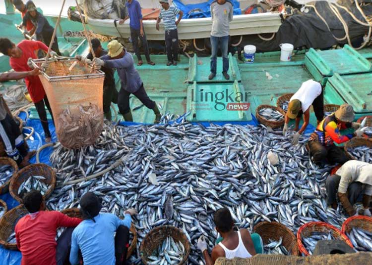 KNTI Ungkap Nelayan Tak Bisa Melaut Akibat Terganjal SIPI dan SIKPI
