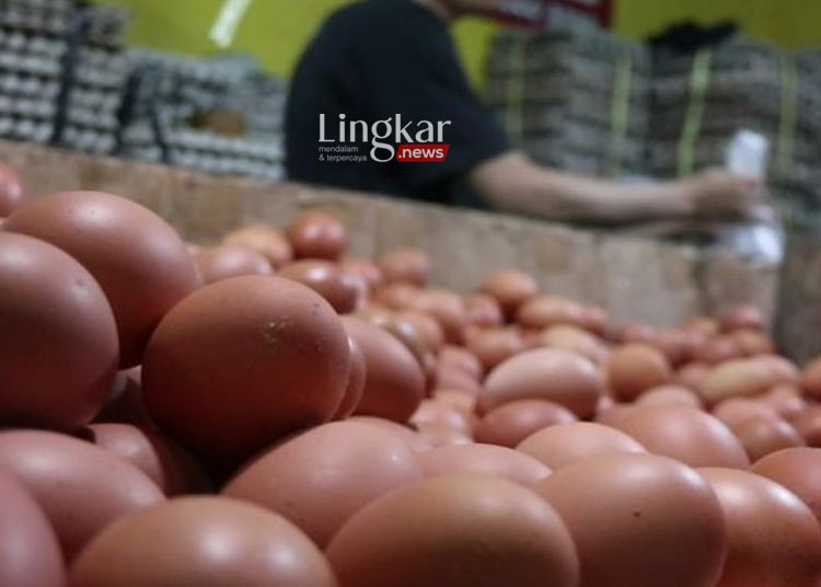 Melonjak, Harga Telur Ayam di Jakarta Tembus Rp 31 Ribu per Kg