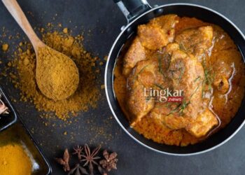 ILUSTRASI: Masakan yang diolah dengan santan. (Freepik @jcomp/Lingkar.news)
