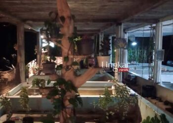 Kolam Kopi (Dok. Kolam Kopi/Lingkar.news)
