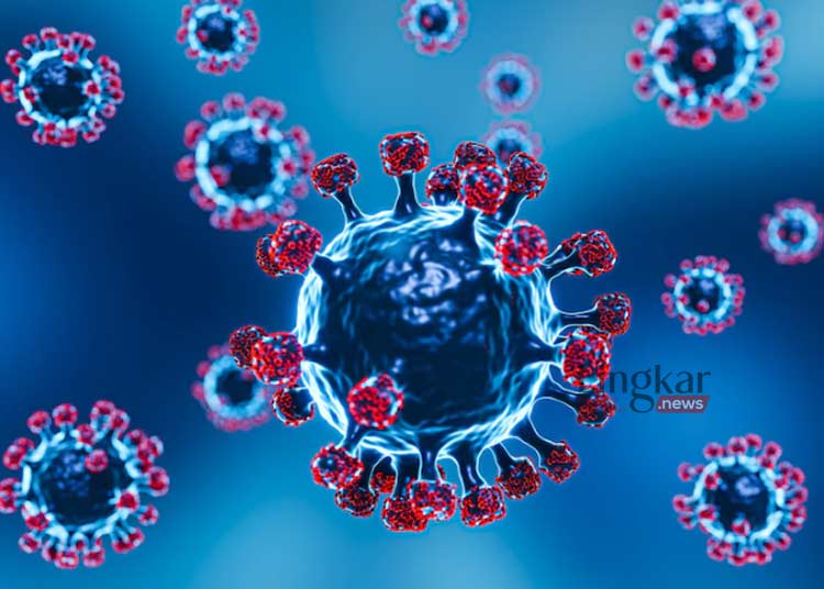 ILUSTRASI: Ilustrasi gambar virus Covid-19. (Freepik @freepik/Lingkar.news)