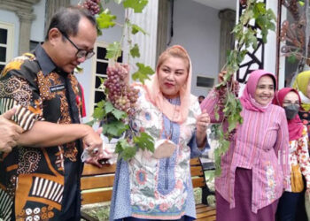 Lahan Kosong Tersisa 6 Persen, Pemkot Semarang Minta Digunakan untuk Pertanian