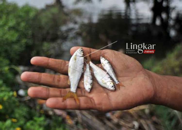 Marak Setrum Ikan di Sungai, Pemkab Bantul Siapkan Sanksi bagi Pelaku