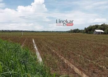 Curah Hujan Tinggi, Ratusan Hektare Lahan Pertanian Terendam Air di Bantul 10 Curah-Hujan-Tinggi,-Ratusan-Hektare-Lahan-Pertanian-Terendam-Air-di-Bantul