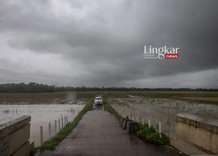 Terendam-Banjir-4-Hari,-40-Hektare-Sawah-di-Pandeglang-Dipastikan-Gagal-Panen