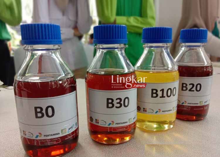 Indonesia Bakal Gunakan Biodiesel B35 Mulai Februari 2023