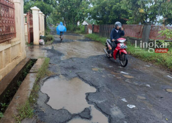 Pati Rencanakan Perbaikan Jalan 300 Km, ini Detailnya