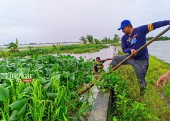 Tangani-Banjir,-Wakil-Ketua-DPRD-Jepara-Pratikno-Bersihkan-Sungai-dari-Eceng-Gondok
