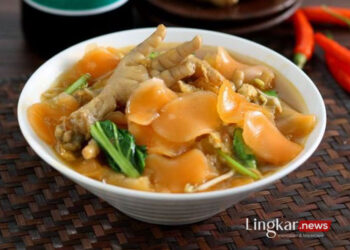 Resep seblak bandung pedas komplit dengan ceker