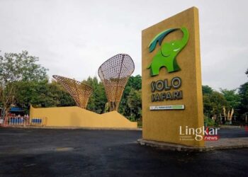Fantastis, Solo Safari Sumbang PAD Rp 2 Miliar Lebih meski Baru Buka Januari