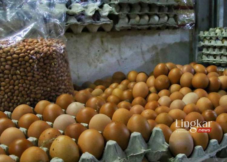 Pakan Ternak Mahal Picu Kenaikan Harga Telur Ayam di Bandung