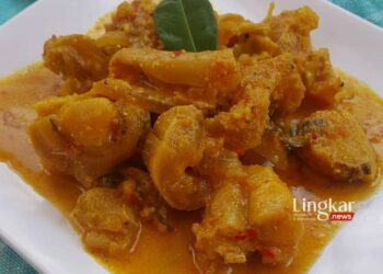 Resep Gulai Kikil yang Enak dan Praktis, Cukup 3 Langkah