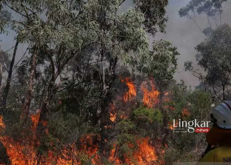 15 Pesawat Siaga Modifikasi Cuaca Atasi Bencana Kebakaran Hutan