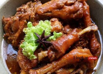 Ayam Pedas Manis, Hidangan Lezat dengan Sentuhan Manisnya Kecap