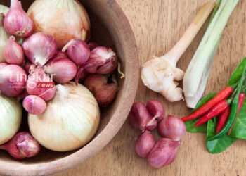 ILUSTRASI: Bumbu dapur. (Freepik/Lingkar.news)