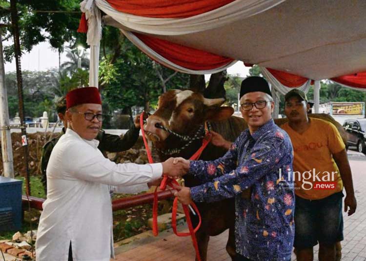 MENERIMA: Panitia Kurban Masjid Istiqlal saat menerima sapi jenis limousin seberat 1.154 kg yang akan dikurbankan Wapres Ma'ruf Amin. (Istimewa/Lingkar.news)