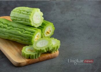 20 Resep Pare dan Tips untuk Mengurangi Rasa Pahitnya