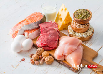 20+ Makanan Tinggi Protein, Bunda Langsing Anak Jauh Dari Stunting