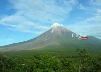 Tim SAR Gabungan melihat jalur aliran lahar dan Awan Panas Guguran (APG) Gunung Semeru di Dusun Kajar Kuning, Desa Sumberwuluh, Lumajang, Jawa Timur pada 12 Mei 2022. (Istimewa/Lingkar.news)