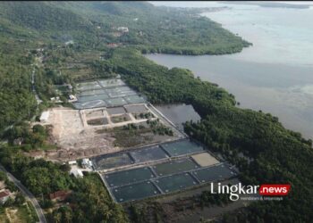 Tambak Udang Ilegal Karimun Jawa Makin Masif, Aktifis Tuntut Pemkab Jepara Tindak Tegas