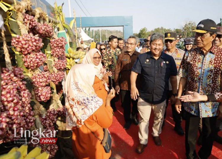 Dirjen Hortikultura Kementan Prihasto Setyanto bersama Gubernur DIY Sri Sultan Hamengku Buwono X saat meninjau komoditas bawang merah hasil petani kawasan selatan DIY, Kamis sore, 24 Agustus 2023. (Antara/Lingkar.news)