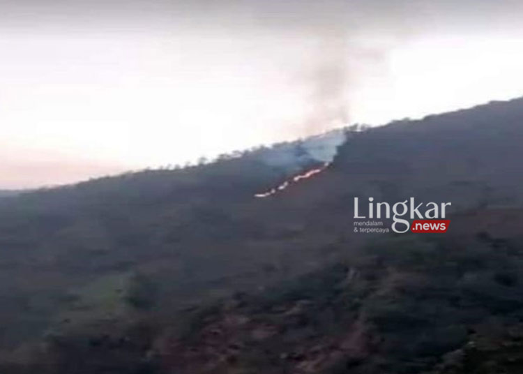 Kebakaran Landa Hutan Di Lereng Gunung Merbabu Boyolali - Lingkar News