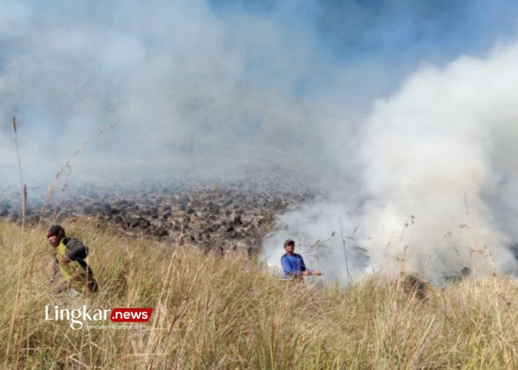 MEMADAMKAN API: Petugas Balai Besar Taman Nasional Bromo Tengger Semeru berupaya memadamkan kebakaran yang terjadi di sabana di wilayah Kabupaten Malang, Provinsi Jawa Timur, pada Rabu, 30 Agustus 2023. (Dok. Balai Besar TNBTS/Lingkar.news)