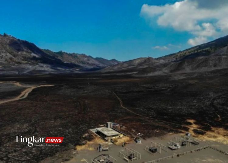 FOTO UDARA: Kondisi lahan pasca kebakaran di Bukit Teletubbies, kawasan Gunung Bromo, Probolinggo, Jawa Timur pada Jumat, 15 September 2023. (Antara/Lingkar.news)