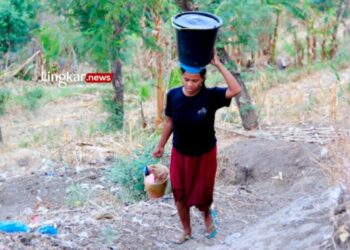 Krisis Air Bersih di Situbondo, Warga Hanya dapat Bantuan 1 Minggu Sekali 18 MEMIKUL: Seorang warga Dusun Jerugan, Desa Selomukti, Kecamatan Mlandingan, Kabupaten Situbondo, Provinsi Jawa Timur, berjalan pulang setelah mengambil air di mata air. (Antara/Lingkar.news)