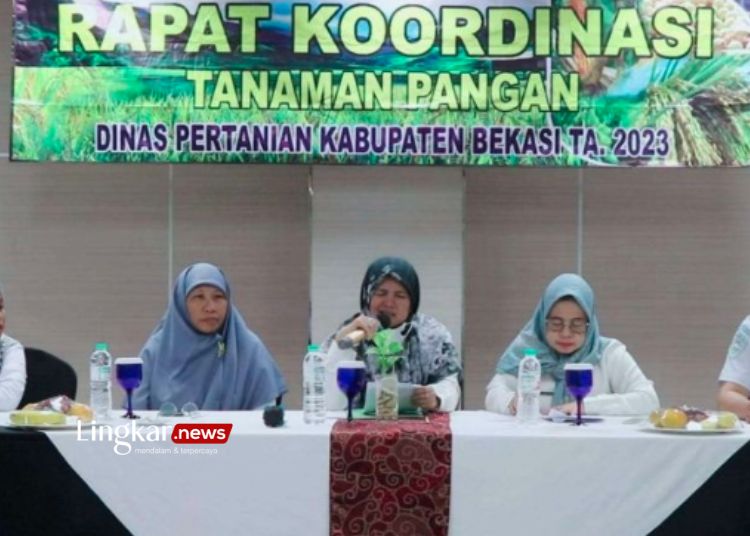 RAKOR: Suasana rapat koordinasi persiapan tanam padi serentak dihadiri koordinator penyuluh pertanian dari 23 kecamatan se-Kabupaten Bekasi di Hotel Sakura, Kecamatan Cikarang Pusat pada Jumat, 27 Oktober 2023. (Antara/Lingkar.news)