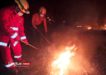MEMADAMKAN API: Petugas gabungan berusaha memadamkan karhutla di Kawasan Gunung Raung Desa Slateng, Kabupaten Jember pada Minggu, 1 Oktober 2023. (Antara/Lingkar.news)