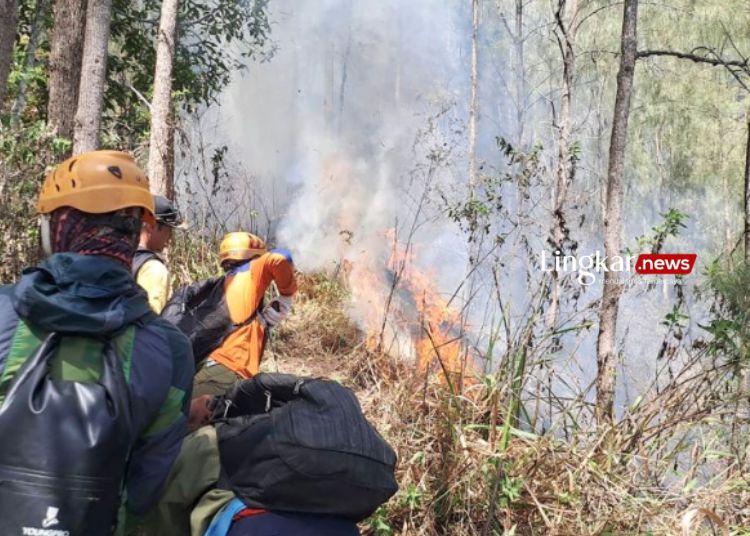 MEMADAMKAN API: Personel gabungan pada saat melakukan pemadaman api di Gunung Panderman, Kota Batu, Jawa Timur pada Rabu, 22 November 2023. (BPBD Kota Batu/Lingkar.news)