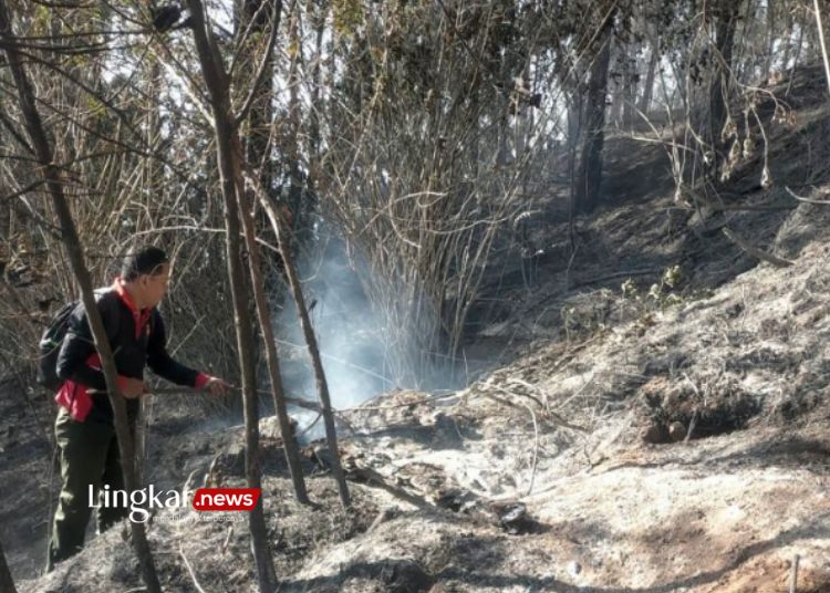 MEMADAMKAN API: Salah satu personel tim gabungan melakukan upaya pemadaman api di lereng Gunung Kawi, di Kecamatan Wagir, Kabupaten Malang, Jawa Timur, Rabu 8 November 2023. (BPBD Pemkab Malang/Lingkar.news)