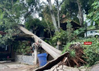 ROBOH: Rumah warga di Kecamatan Cimenyan, Kabupaten Bandung, Jawa Barat, tertimpa pohon setelah diterjang angin puting beliung pada Sabtu, 30 Desember 2023. (Antara/Lingkar.news)