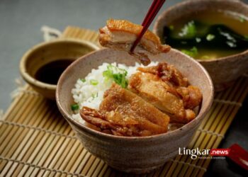 ILUSTRASI: Rice bowl teriyaki. (Freepik @jcomp/Lingkar.news)