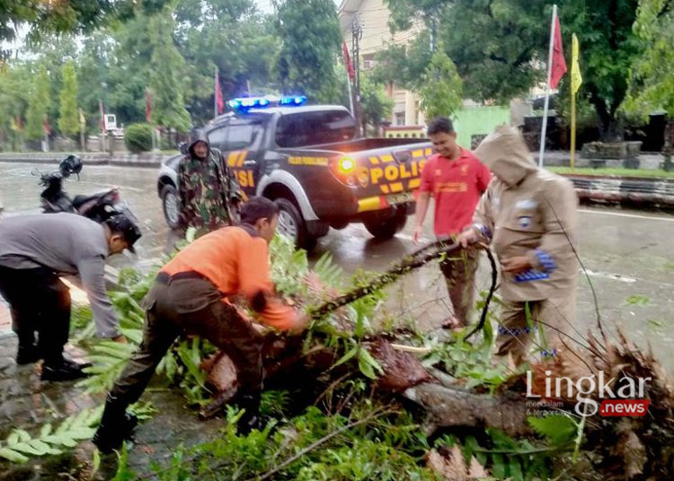 ILUSTRASI: Petugas gabungan menyingkirkan pohon tumbang akibat hujan lebat disertai angin kencang di Jalan S Parman, Purbalingga, Rabu, 3 Januari 2024. (Antara/Lingkar.news)