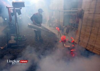 Data DBD di Situbondo Capai 40 Kasus di Awal 2024, Diperkirakan Terus Bertambah 11 ILUSTRASI: Petugas melakukan pengasapan atau fogging sarang nyamuk di rumah warga. (Antara/Lingkar.news)