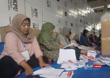 Difabel Dilibatkan dalam Pelipatan Surat Suara Pemilu 2024 di Situbondo 12 MELIPAT SURAT SUARA: Ibu-ibu rumah tangga bekerja melipat surat suara Pemilu 2024 di gudang logistik KPU Kabupaten Situbondo, Jawa Timur pada Senin, 8 Januari 2024. (Antara/Lingkar.news)