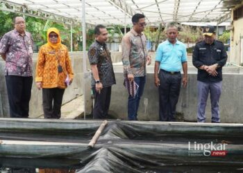 MENINJAU: Penjabat Bupati Jepara, Edy Supriyanta (paling kanan) mendampingi tim penilai Inovasi Pembangunan Daerah meninjau Balai Benih Ikan (BBI) Pecangaan Kulon, Kecamatan Pecangaan, Jepara pada Rabu, 7 Februari 2024. (Dok. Humas Pemkab Jepara/Lingkar.news)