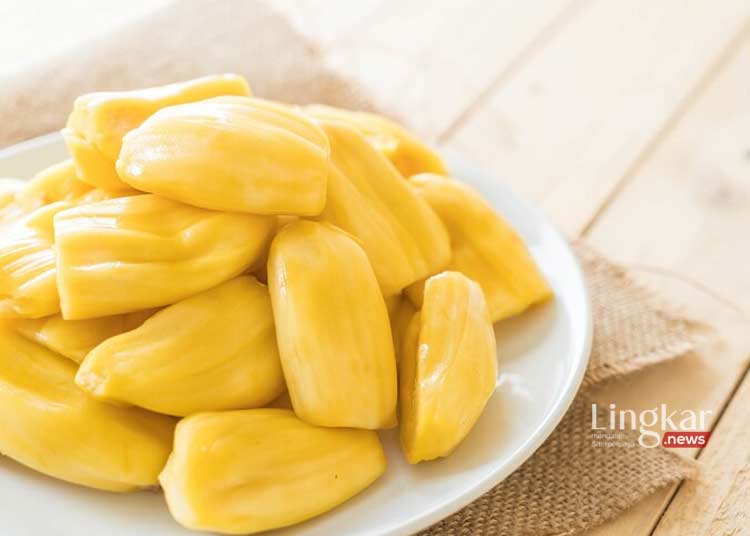TERSAJI: Nangka matang yangsiao diolah menjadi makanan dan minuman yang enak. (topntp26 from Freepik/Lingkar.news)