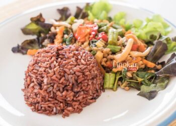 Ilustrasi nasi merah, salah satu rekomendasi menu buka puasa untuk pengidap diabetes. (Freepik/Lingkar.news)