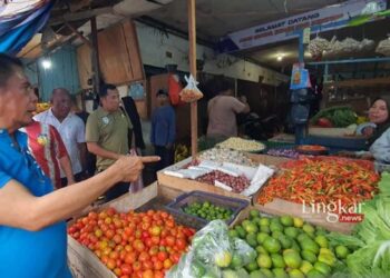 Harga Cabai Melambung Tembus Rp 100 Ribu per Kilogram di Jayapura
