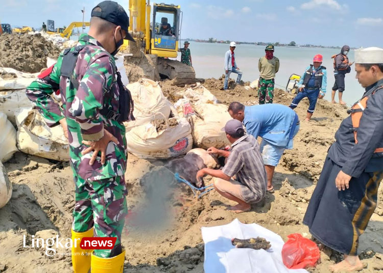 Viral Cerita Mistis Banjir Demak, Wedus Kendit Disembelih di Tanggul