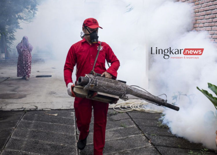 Demam Berdarah Dengue di Jaksel Meningkat, Februari Tercatat 149 Kasus